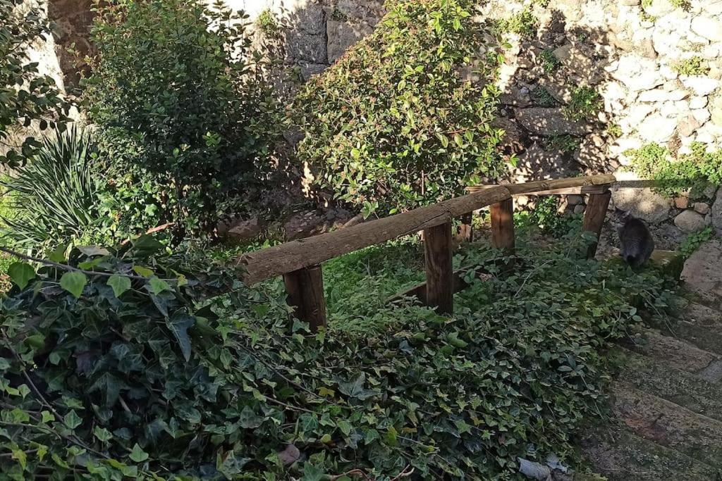 'La Casa De Lola' Casita De Cuento Con Vistas Villa Arenas de San Pedro Buitenkant foto